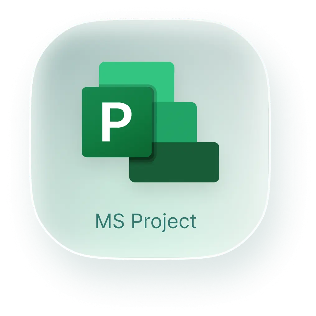 Microsoft Project 2010 Professional 1 PC (Lifetime) 