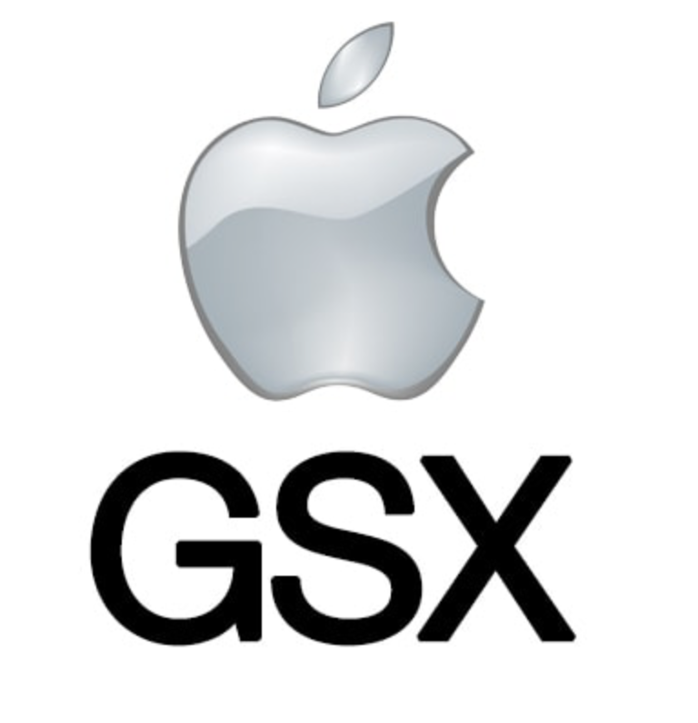 GSX Case History Only (Instant)